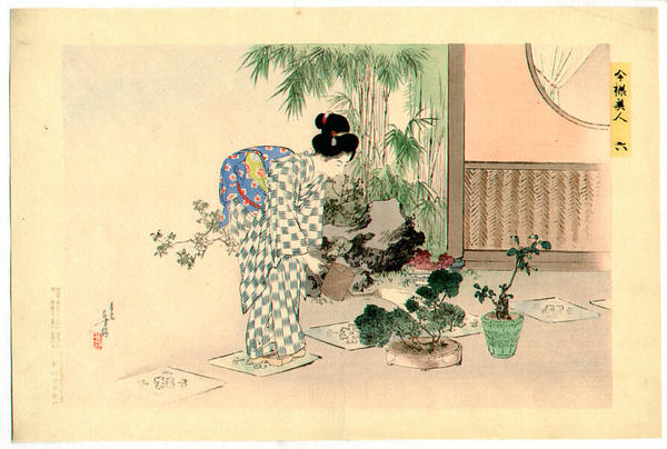Watering the plants