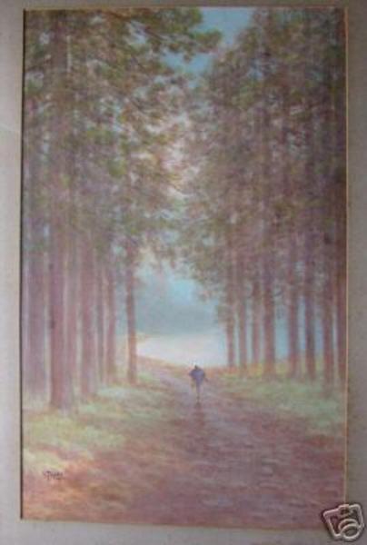 Path through forest