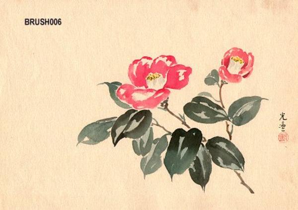 Floral