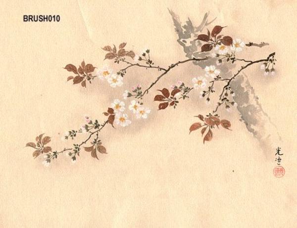 Floral