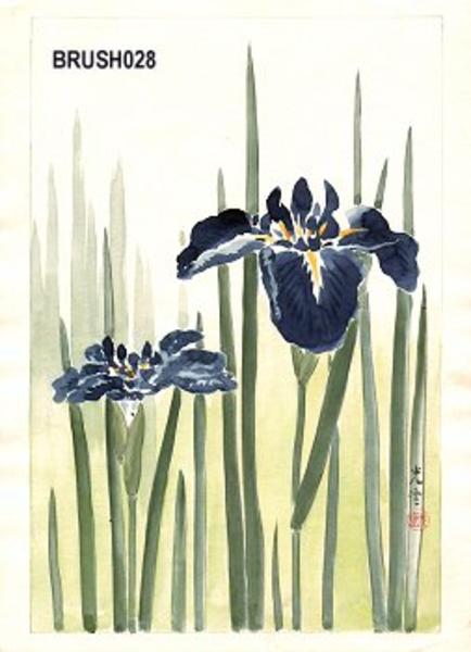Floral, Irises