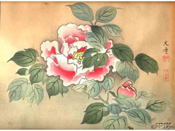 Floral print- Flower