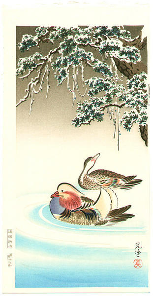 Mandrain Ducks