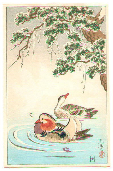 Mandrain Ducks
