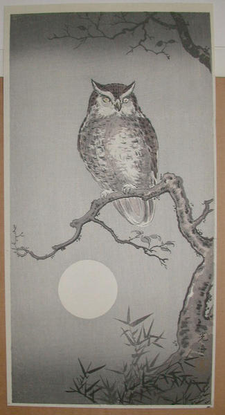 Owl