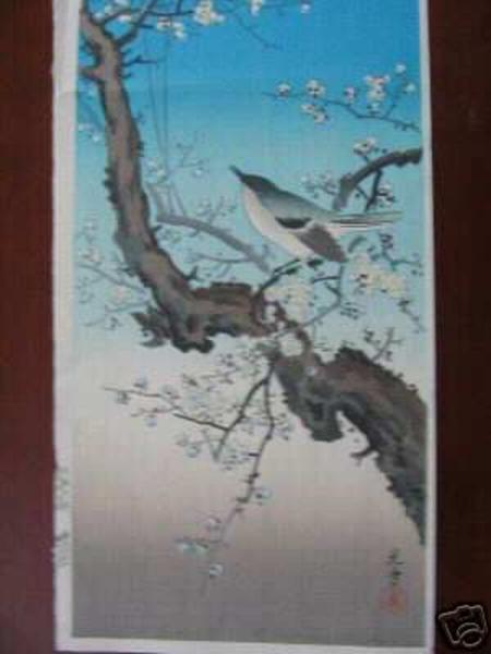 Plum Nightingale