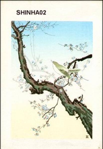 Plum Nightingale