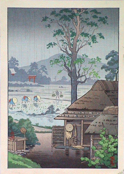 Rice planting - Taue