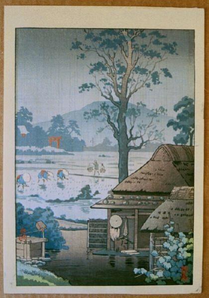 Rice planting - Taue