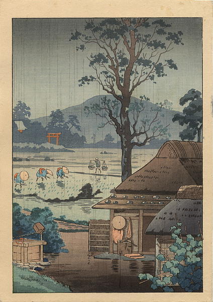 Rice planting - Taue