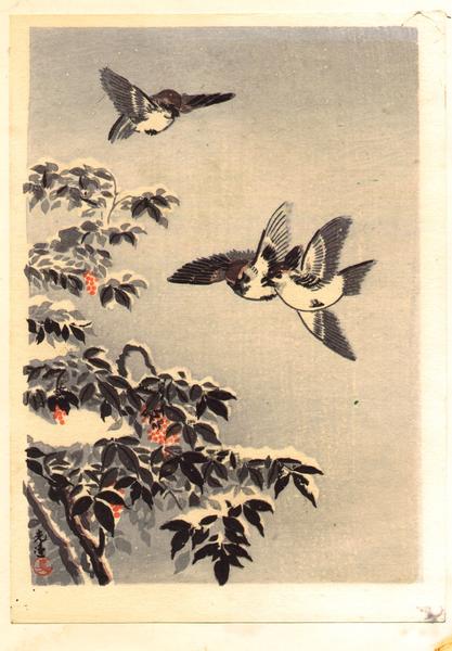 Sparrows