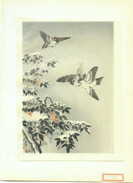 Sparrows