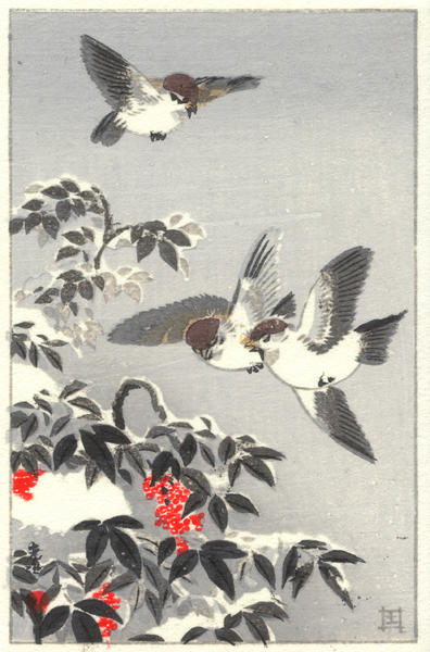 Sparrows