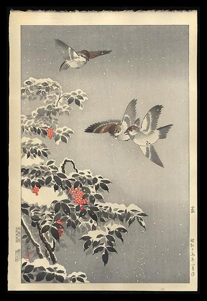 Sparrows
