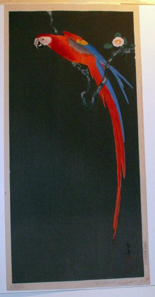 Macaw on Flowering Branch