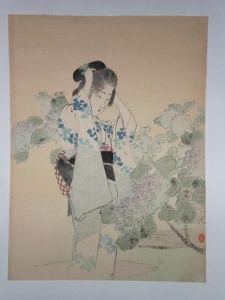 Bijin and Hydrangea