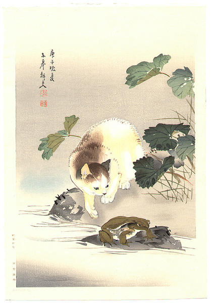 Cat and frog