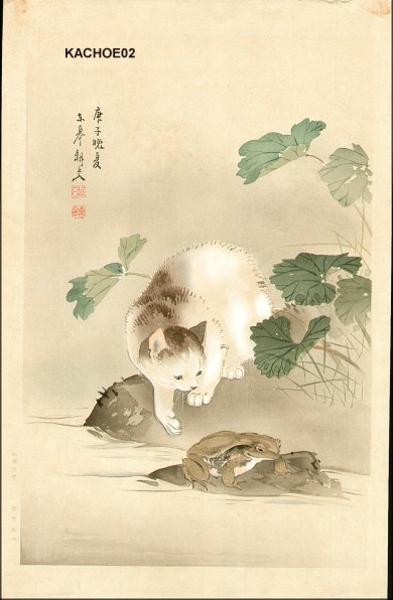 Cat and frog toad
