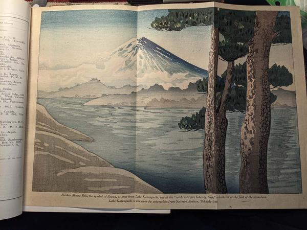 Peerless Mt Fuji