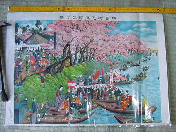 Scene of cherry blossoms in full bloom at Mukojima