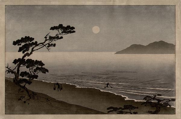 Suma beach