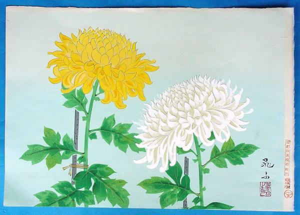 Two chrysanthemums