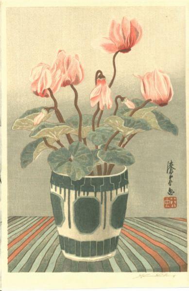 Cyclamen growing in a decorated pot