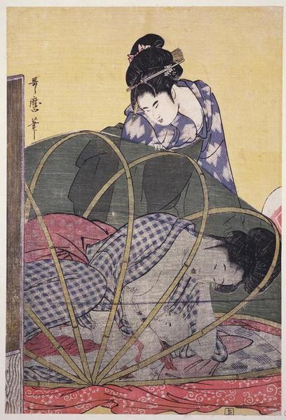 Mosquito Net for a Baby