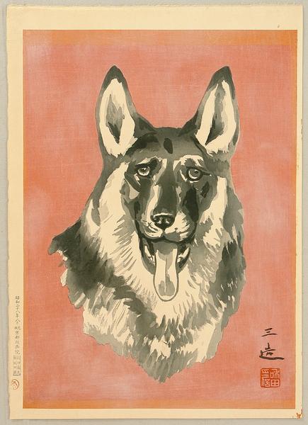 Shepherd