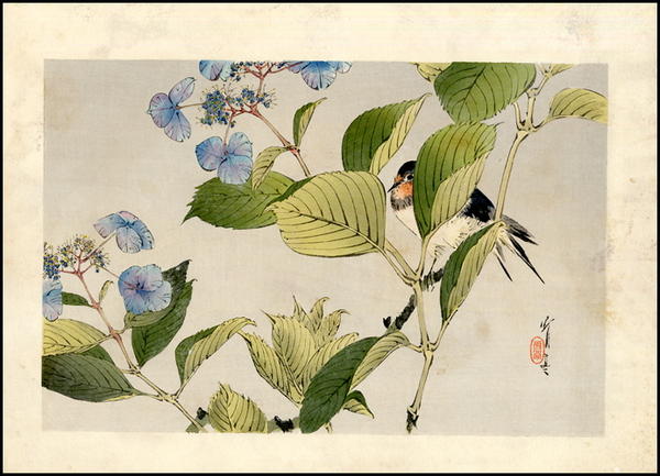 Songbird on Flower