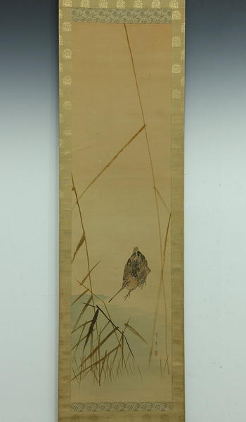 Finch and Persimmon