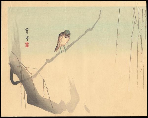 Bird on willow branch
