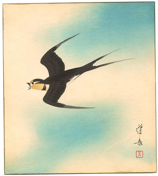 May - Balmy Breeze, Swallow