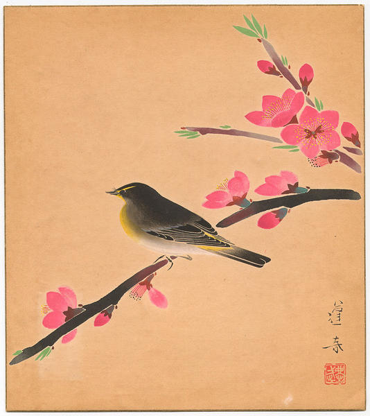 March - Beautiful Spring (Peach)