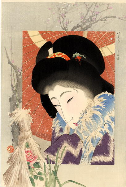 Snow peony