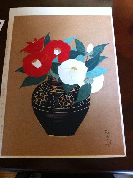 Crimson and White Camellia