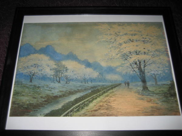 A Stream in Spring
