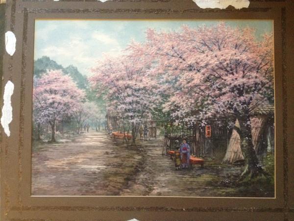 Cherry Blossom Viewing