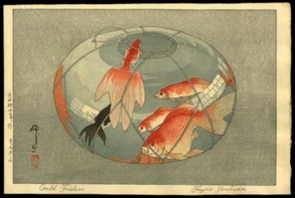 Gold Fishes
