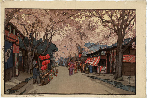 Hanazakari- Avenue of Cherry Trees in full bloom
