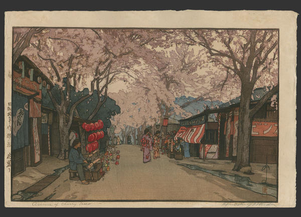 Hanazakari- Avenue of Cherry Trees in full bloom
