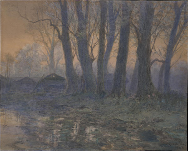 A Cluster of Trees in the Mist