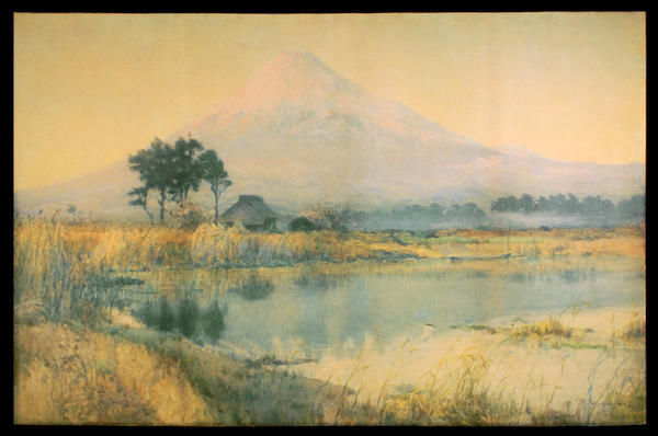 A View of Mt Fuji