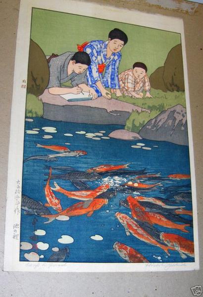 Carp in Pond