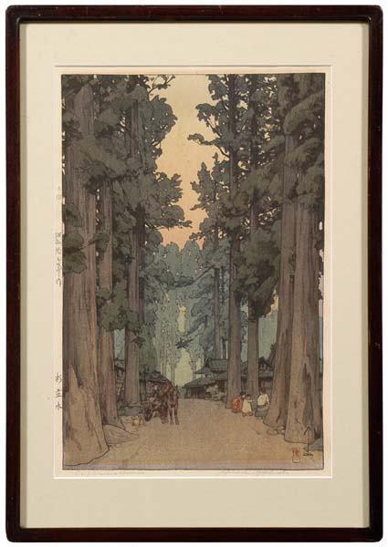 Cryptomeria Avenue