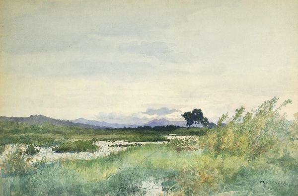 Open bushland by stream