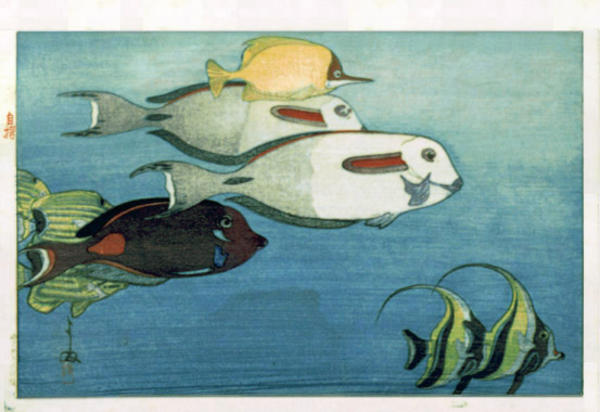 The Honolulu Aquarium