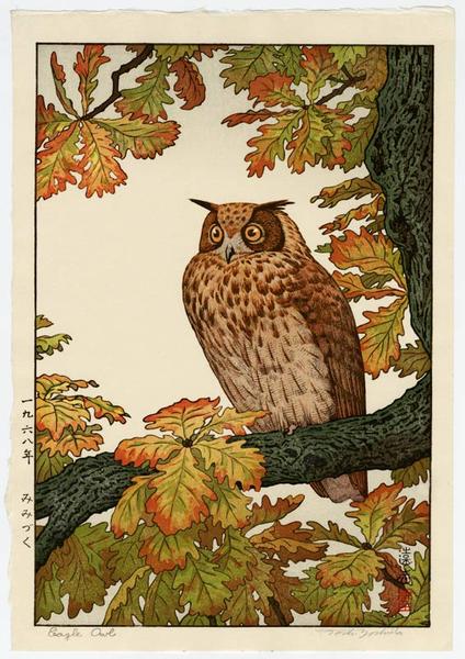 Mimizuki - Eagle Owl