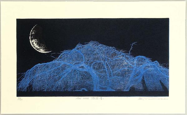 New Moon and Tree Top