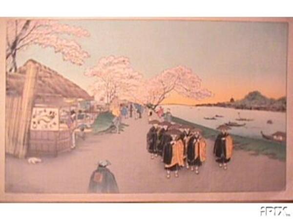 Cherry Blossoms Mukojima
